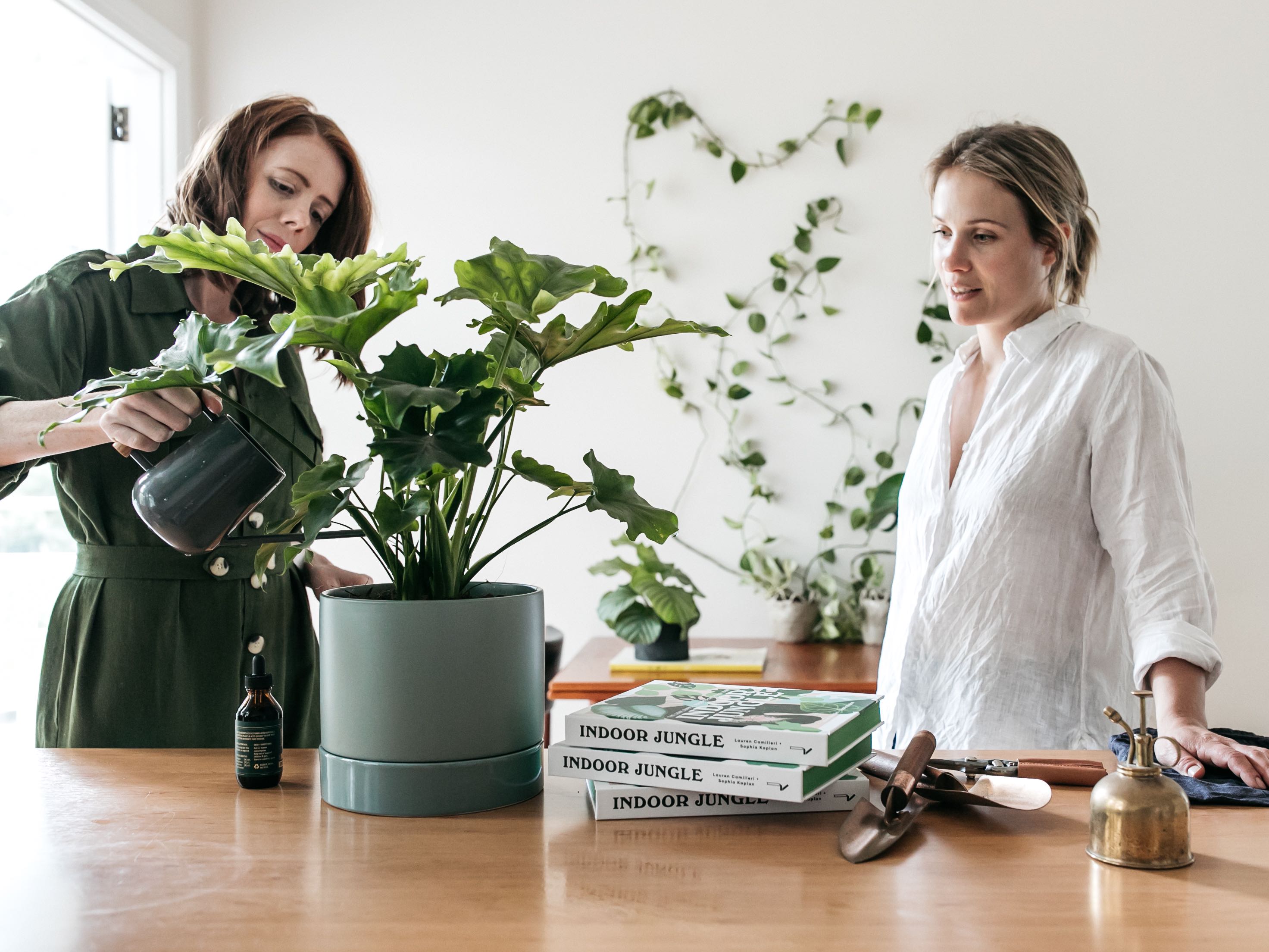 Help! My Plants Are Dying Expert Tips on How To Keep Your Potted Leafy